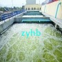 天津：全國首家全能污水處理廠(chǎng) 污水污泥再生水一站全搞定
